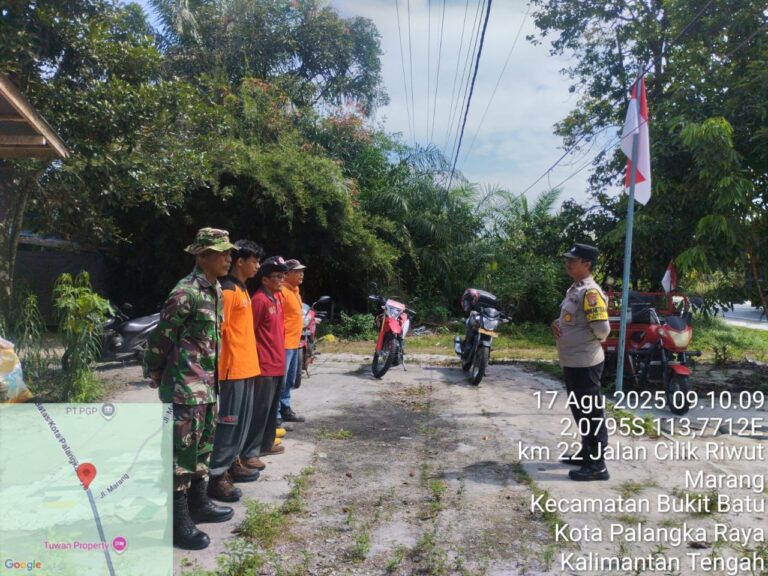 IMG-20250817-WA0336(1)