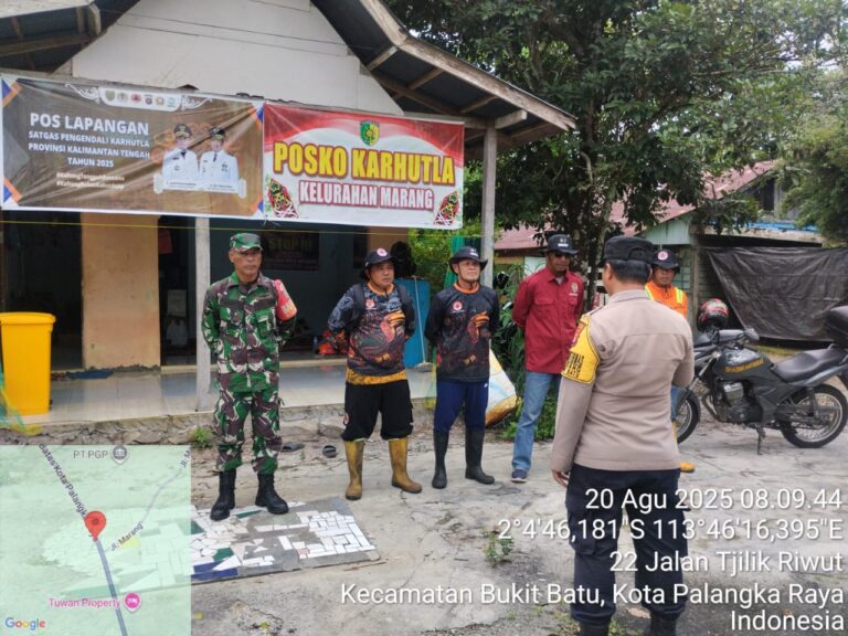 IMG-20250820-WA0177(1)