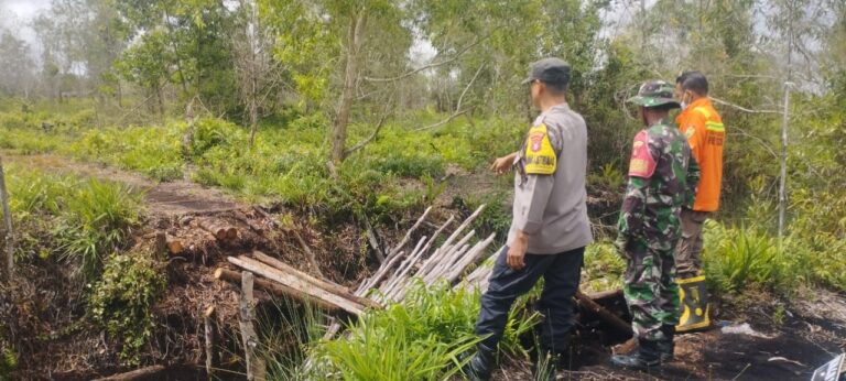 IMG-20250901-WA0241(1)