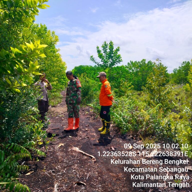 IMG-20250909-WA0114(1)