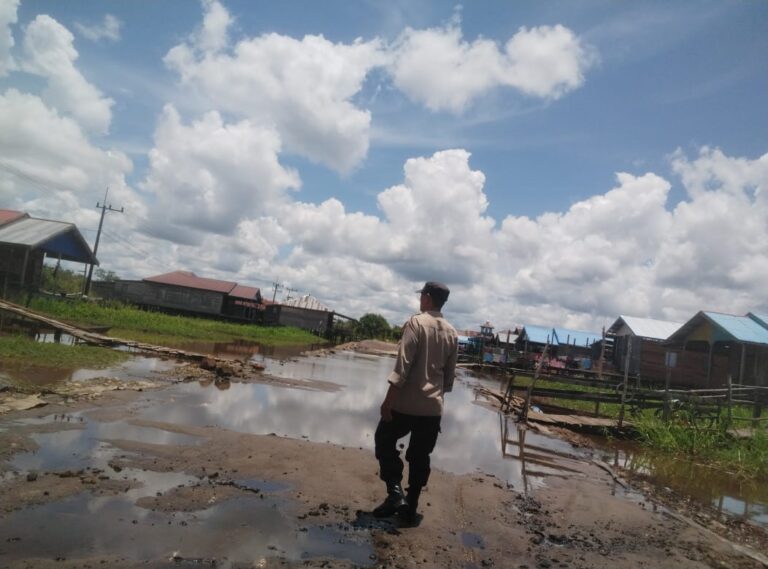 IMG-20251001-WA0223(1)