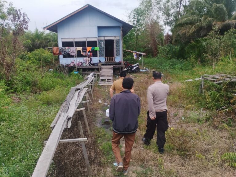 IMG-20251120-WA0168(1)