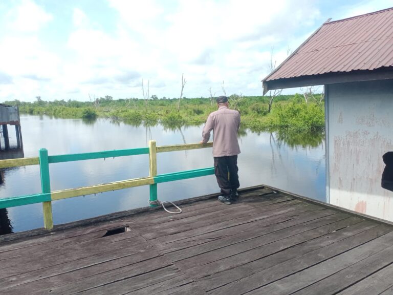 IMG-20251125-WA0203(1)