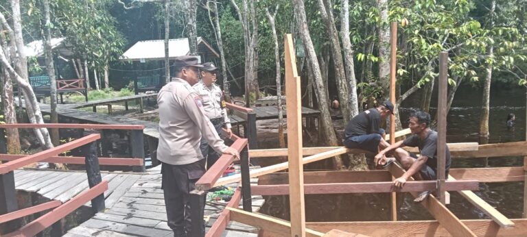 IMG-20251220-WA0050(1)