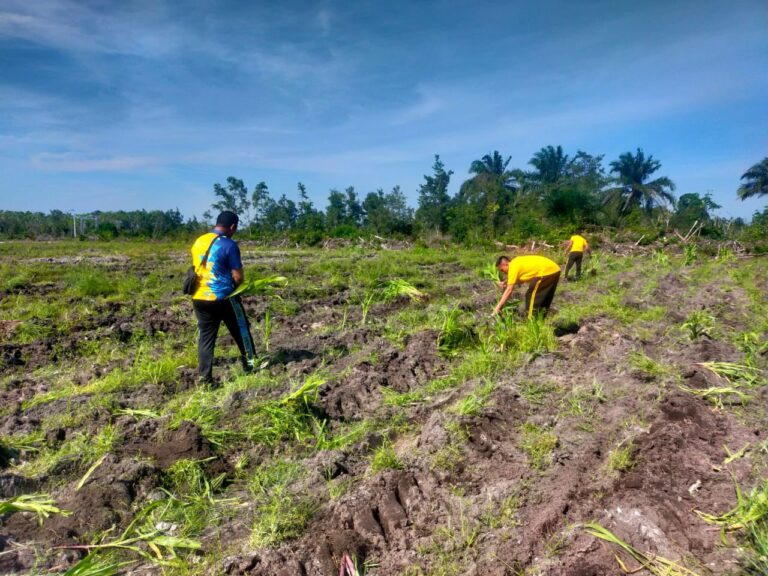 IMG-20260116-WA0093(1)