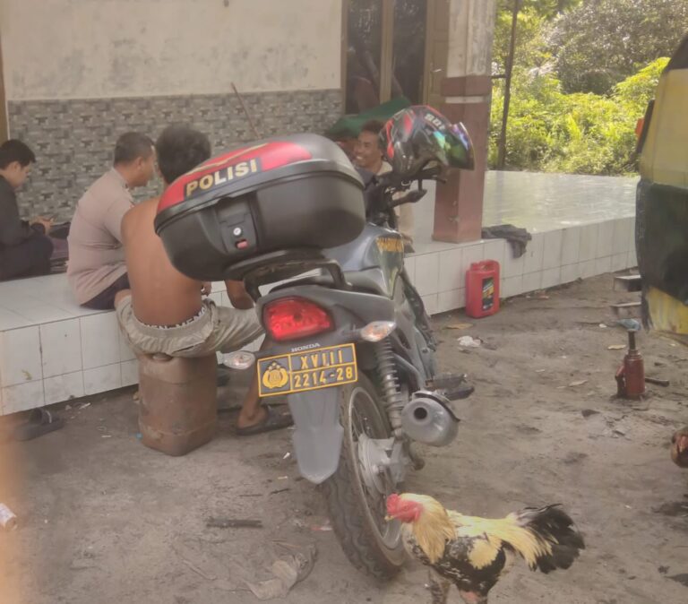 IMG-20260228-WA0017(1)