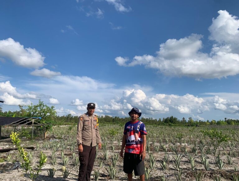 IMG-20260228-WA0087(1)