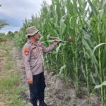 IMG-20260327-WA0014(1)