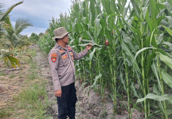 IMG-20260327-WA0014(1)