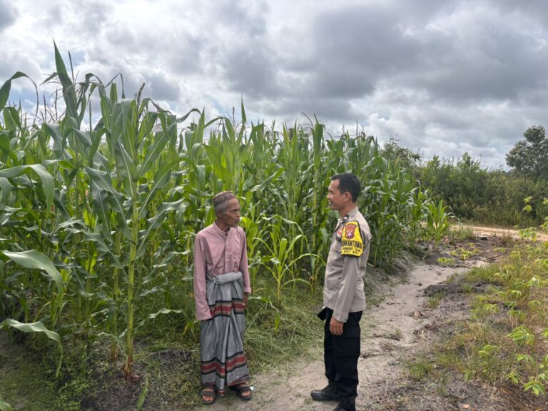 IMG-20260330-WA0133(3)