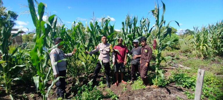 IMG-20260429-WA0114(2)