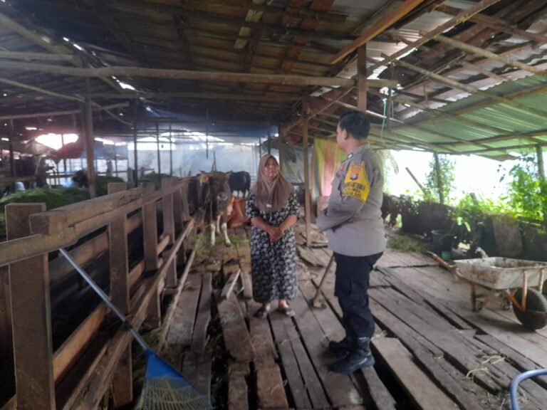 IMG-20260519-WA0150