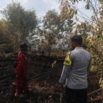IMG-20260808-WA0097