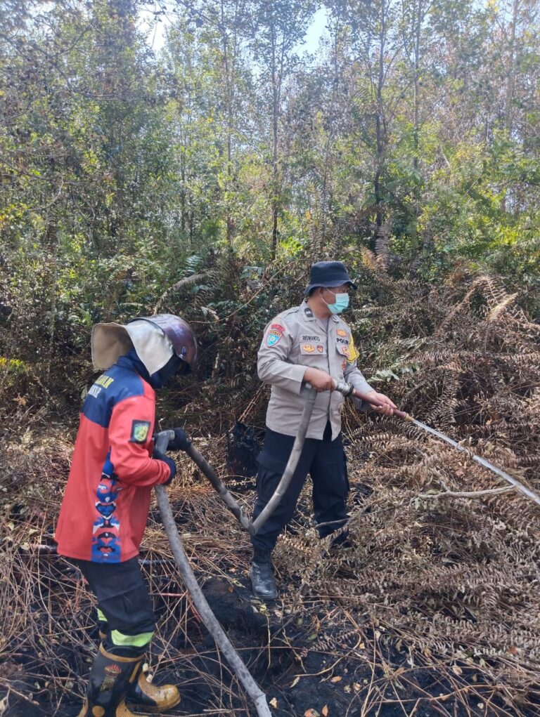 IMG-20260810-WA0058(1)