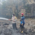 IMG-20260810-WA0103(1)