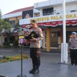 IMG-20260811-WA0081