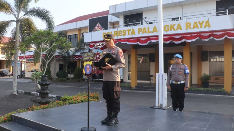 IMG-20260811-WA0081