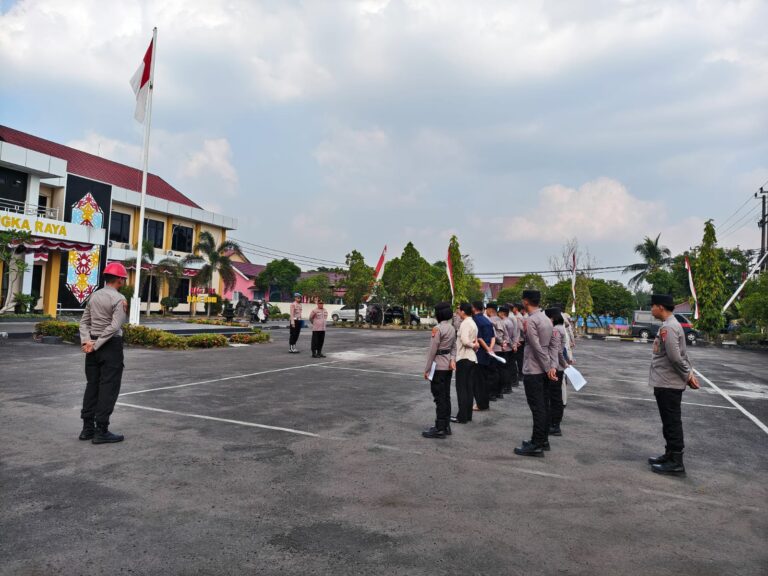 IMG-20260811-WA0247