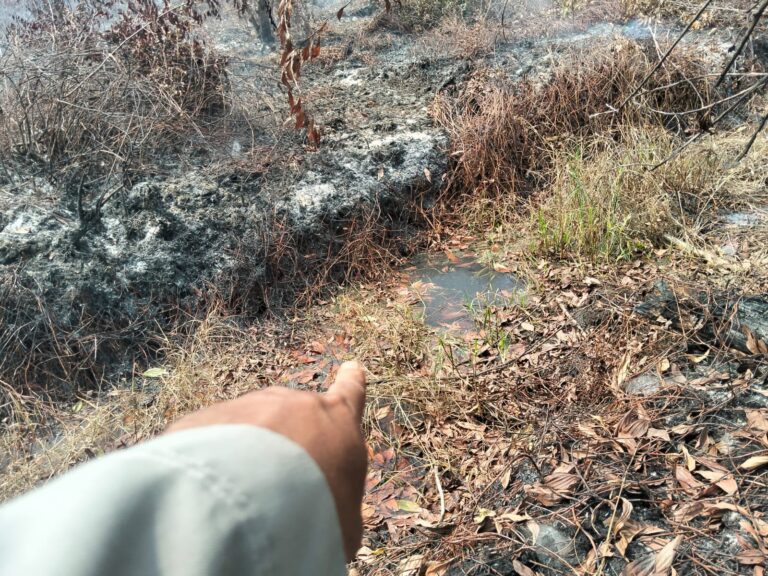 IMG-20260814-WA0099