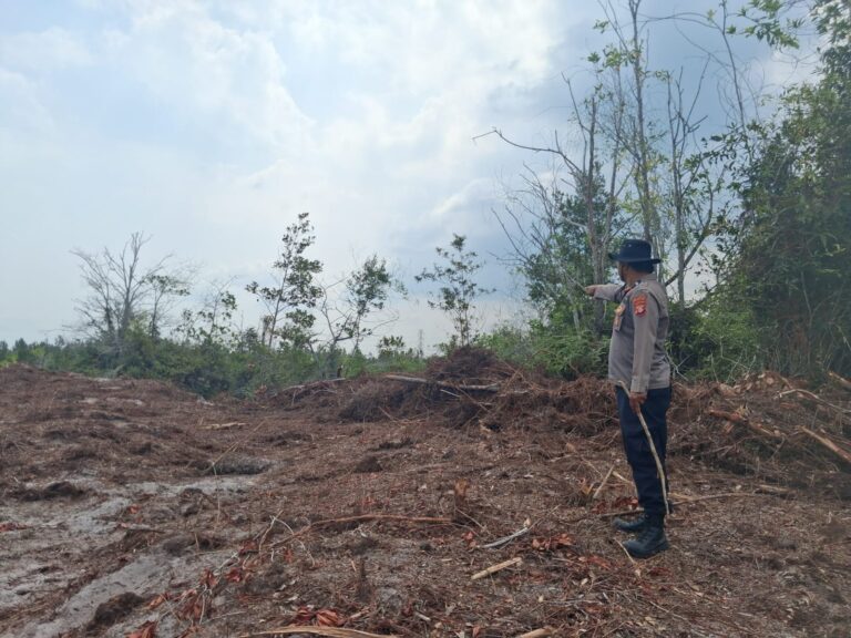 IMG-20260815-WA0181